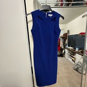 Calvin Klein dress sz 2